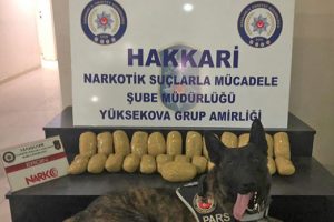 Hakkari'de 13,5 kilo eroin ele ge&ccedil;irildi