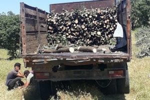 Ka&ccedil;ak odun kesen 13 kişi g&ouml;zaltına alındı