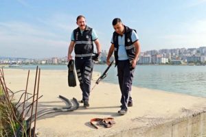 Koluna saplanan zıpkını bı&ccedil;ağıyla &ccedil;ıkardı