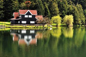 G&ouml;lc&uuml;k i&ccedil;in mahkemeden nihai karar: Bungalovlar kalksın, kızıl geyik, kurt, tilki sansar, gelincik yaşasın
