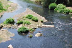 Gediz Nehri kimyasal atık kurbanı
