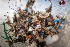 Yetişkin bir insan yılda ortalama 50 bin mikroplastik yutuyor