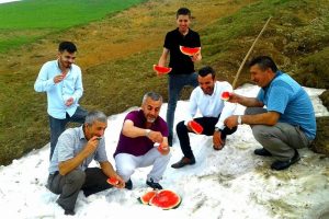 Haziran ayında, kara g&ouml;m&uuml;p yediler