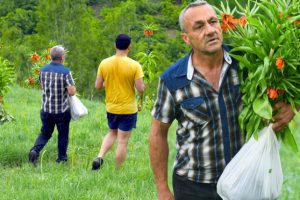 Cezası 60 bin lira ama yine de durmadılar