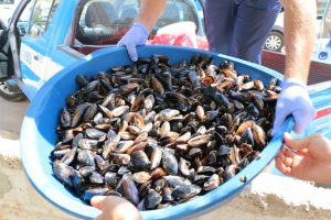Tatil cennetinde 50 turist zehirlendi