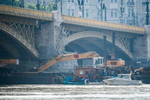 Tuna Nehri'nde can kaybı artıyor