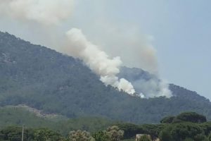 Muğla'da orman yangını