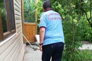 Başkent'te yılan paniği