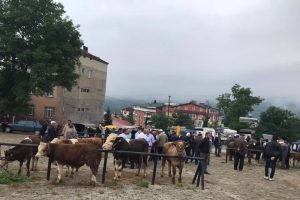 Hayvan pazarında sessiz bekleyiş hakim