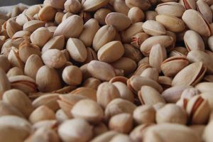 Antep fıstığı rekoltesinde d&uuml;ş&uuml;ş bekleniyor