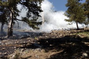 Adana'da 6 dekar orman k&uuml;l oldu