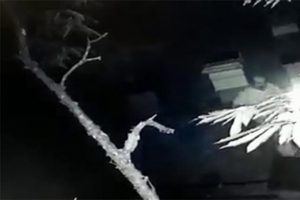 Komşusunun arı kovanlarını deviren vatandaş b&ouml;yle g&ouml;r&uuml;nt&uuml;lendi!