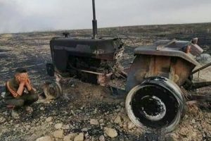 Irak'taki tarla yangınlarının sebebi: İhmalkarlık