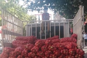 Kamyonet kabinin &uuml;zerindeki &ccedil;ocukla ilerledi!