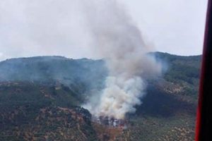 Kaz Dağları'nda &ccedil;&ouml;pl&uuml;k yangını