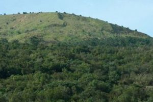 Ormancılar Derneği: Ranta a&ccedil;ılan alanlar İstanbul'un y&uuml;z&ouml;l&ccedil;&uuml;m&uuml;n&uuml; ge&ccedil;iyor