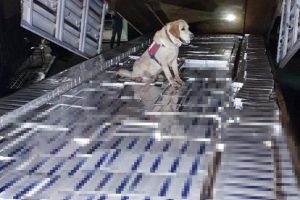 42 bin paket ka&ccedil;ak sigara ele ge&ccedil;irdi