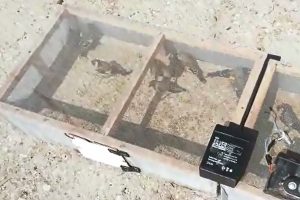Suriyeliye 7 bin 200 liralık av cezası!