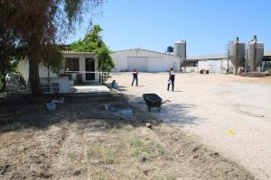 Manisa'da &ccedil;iftlikteki cinayette 1 kişi tutuklandı