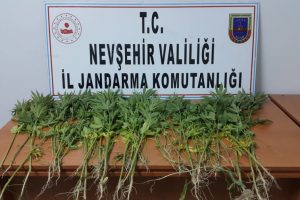 81 k&ouml;k Hint keneviri ele ge&ccedil;irildi