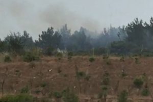 D&uuml;şen yıldırım ormanı yaktı