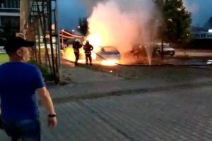 Park halindeki ara&ccedil; alev alev yandı