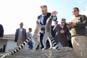 Bursa Hayvanat Bah&ccedil;esi'nde bayram rekoru