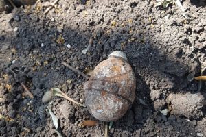 Balıkesir'de evin bah&ccedil;esinde el bombası bulundu