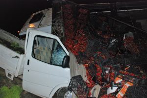 Kiraz y&uuml;kl&uuml; kamyon kamyonetin &uuml;zerine devrildi: 3 yaralı
