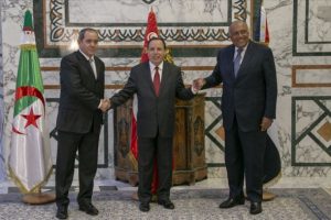 Libya'ya komşu &uuml;lkelerden 'siyasi &ccedil;&ouml;z&uuml;m' vurgusu