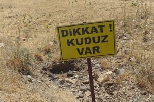 K&ouml;y, 6 ay boyunca karantinaya alındı!
