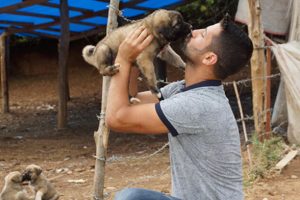 Sel sularına kapılan k&ouml;pek yavrularını kurtardı