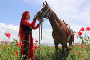 Erciş'i gelincik tarlasıyla tanıtıyorlar