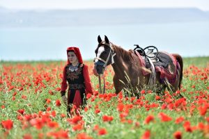 Gelincik tarlaları doğal fotoğraf st&uuml;dyosuna d&ouml;n&uuml;şt&uuml;