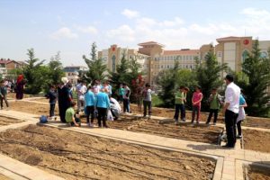Bursa'daki bu okulda eğitim bitti "hasat" bitmedi