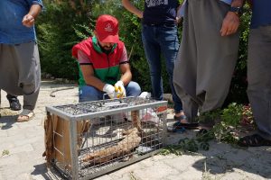 Evin bah&ccedil;esinde &ccedil;&ouml;l varanı bulundu