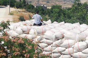 Kamyondaki saman balyaları elektrik tellerine takıldı