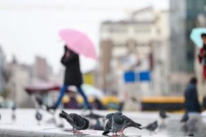 Bursa'da bug&uuml;n ve yarın hava durumu nasıl olacak? (15 Haziran 2019 Cumartesi)