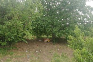Bursa'da piknik yaparken &uuml;zerine yıldırım d&uuml;şt&uuml;