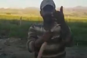 Yakaladığı yılana elini ısırttı