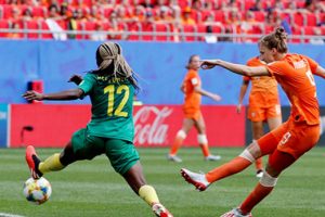 Hollanda-Kamerun: 3-1