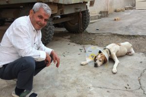 Bursa'da kanser hastası k&ouml;pek sağlığına kavuştu