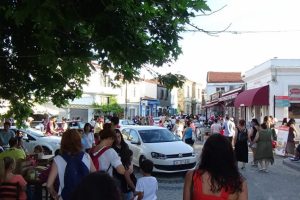 Bozcaada i&ccedil;in 'Ara&ccedil;sız Ada' &ccedil;ağrısı