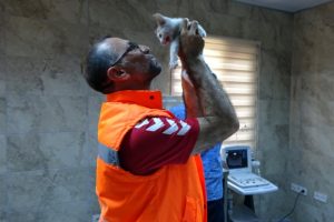 Yavru kediyi kurtaran iş&ccedil;iye &ouml;d&uuml;l