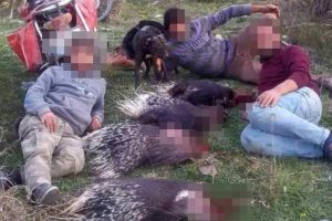 Avladıkları kirpilerle poz verdiler, 13 bin 897 lira ceza yediler