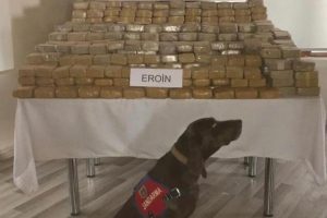 Ağrı'da 585 kilo eroin ele ge&ccedil;irildi