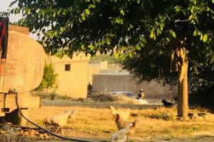 Şanlıurfa'da ter&ouml;r operasyonu: 9 g&ouml;zaltı