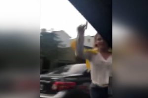 Arjantin'de kadın s&uuml;r&uuml;c&uuml;den &ccedil;eki&ccedil;li saldırı