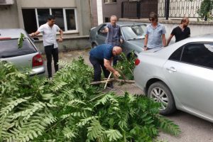 Şiddetli r&uuml;zgarda ağa&ccedil;lar devrildi