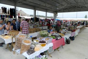 Bursa Mudanyalı m&uuml;badiller Tire'de